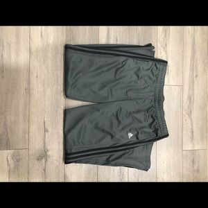 Adidas Track Pant